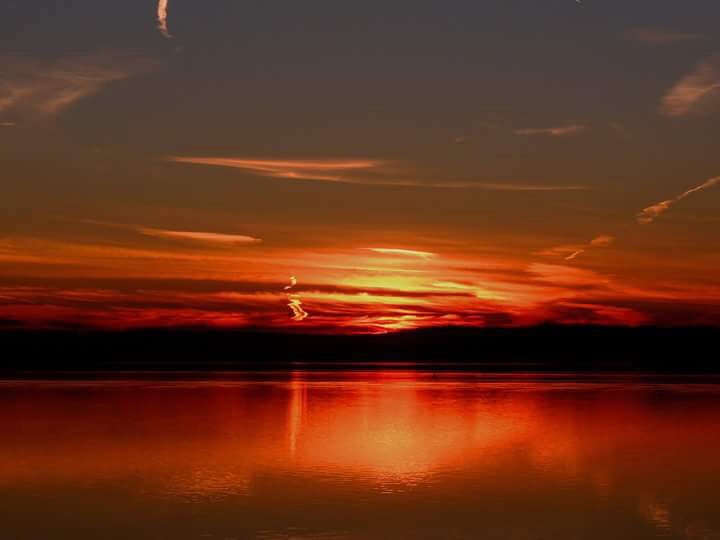 Atardecer rojizo en la Albufera - Ernesto Soler Atardecer rojizo en la Albufera - Ernesto Soler
