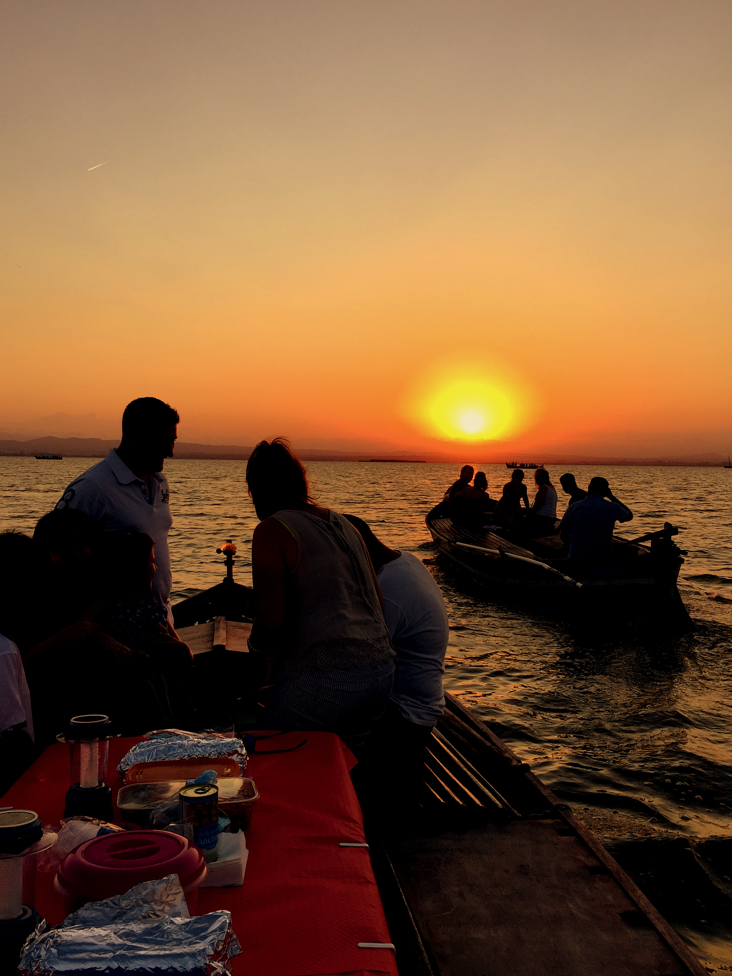 Paseos En Barca Por La Albufera Valencia Desde El Palmar Ernesto Soler