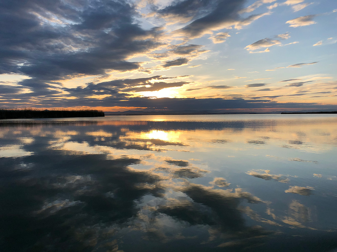 La luz en la Albufera - Ernesto Soler